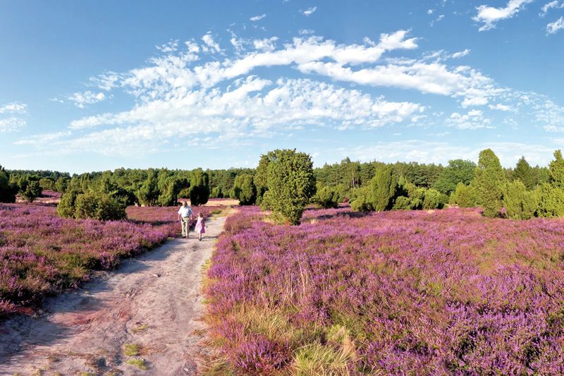 Kurzurlaub in der Südheide (Reisezeitraum 25.04. - 19.10.2025)